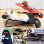 Pat 2 în 1 - Leagăn pentru animale de companie PAWSWING® pat 2 in 1 leagn pentru animale de companie pawswing