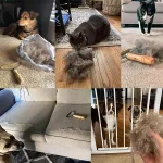 Dispozitiv de îndepărtare a părului LINTY®