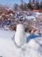 Прикачено изображение от потребител 1 за Set de jucării pentru zăpadă de iarnă ARCTICFUN®.